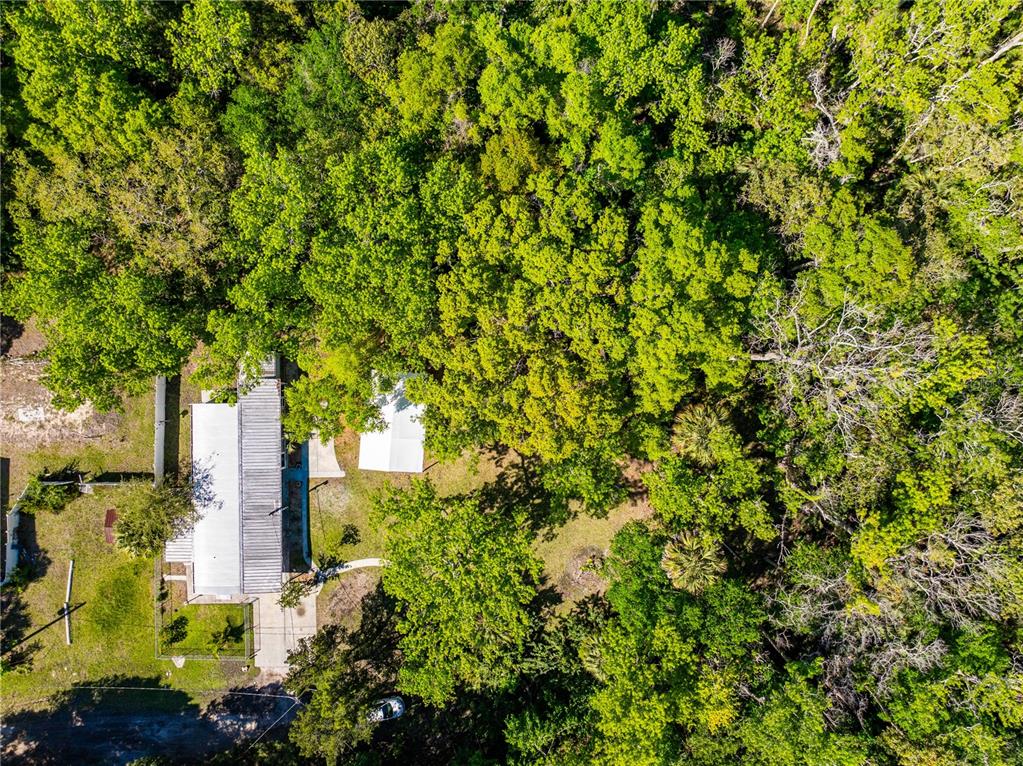 3405 Fremont Lane Spring Hill, FL 34607 - Photo 39 of 39