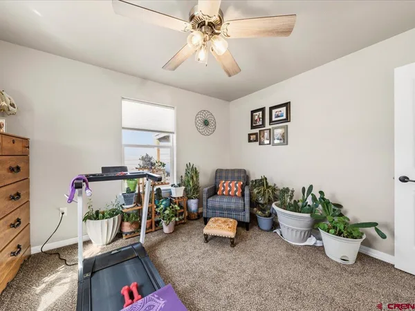 a room with furniture and a potted plant
