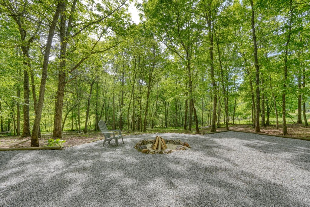 919 New Hope Road Morganton, GA 30560 - Photo 50 of 52 Gallery Image 50