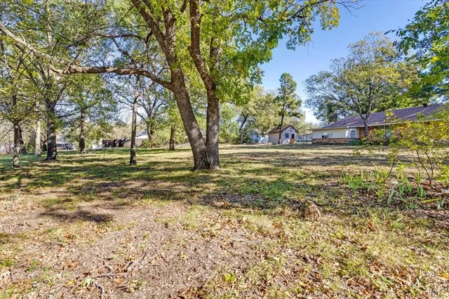 a view of a yard with a trees
