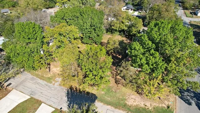a view of a yard with plants and tree