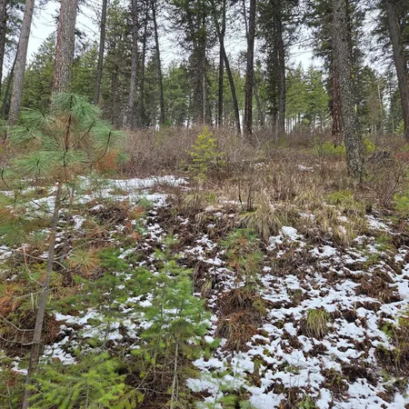 $125,000 | Tbd Granite View Road, New Meadows, ID 83654