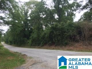 0 North Dakota Road, Unit 1 Thorsby, AL 35171 - Photo 1 of 6