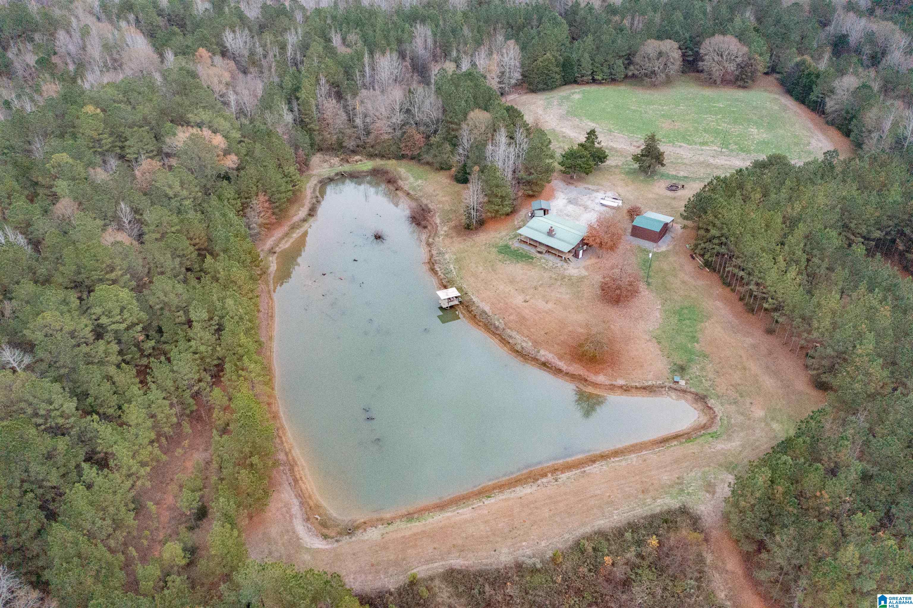 1444 Thrasher Road Sawyerville, AL 36776 - Photo 2 of 47