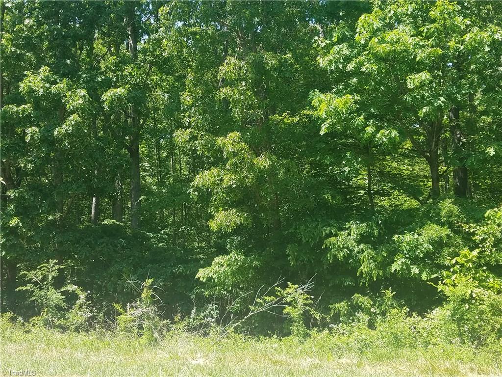 0 Wright Country Road Ramseur, NC 27316 - Photo 1 of 1 Gallery Image 1