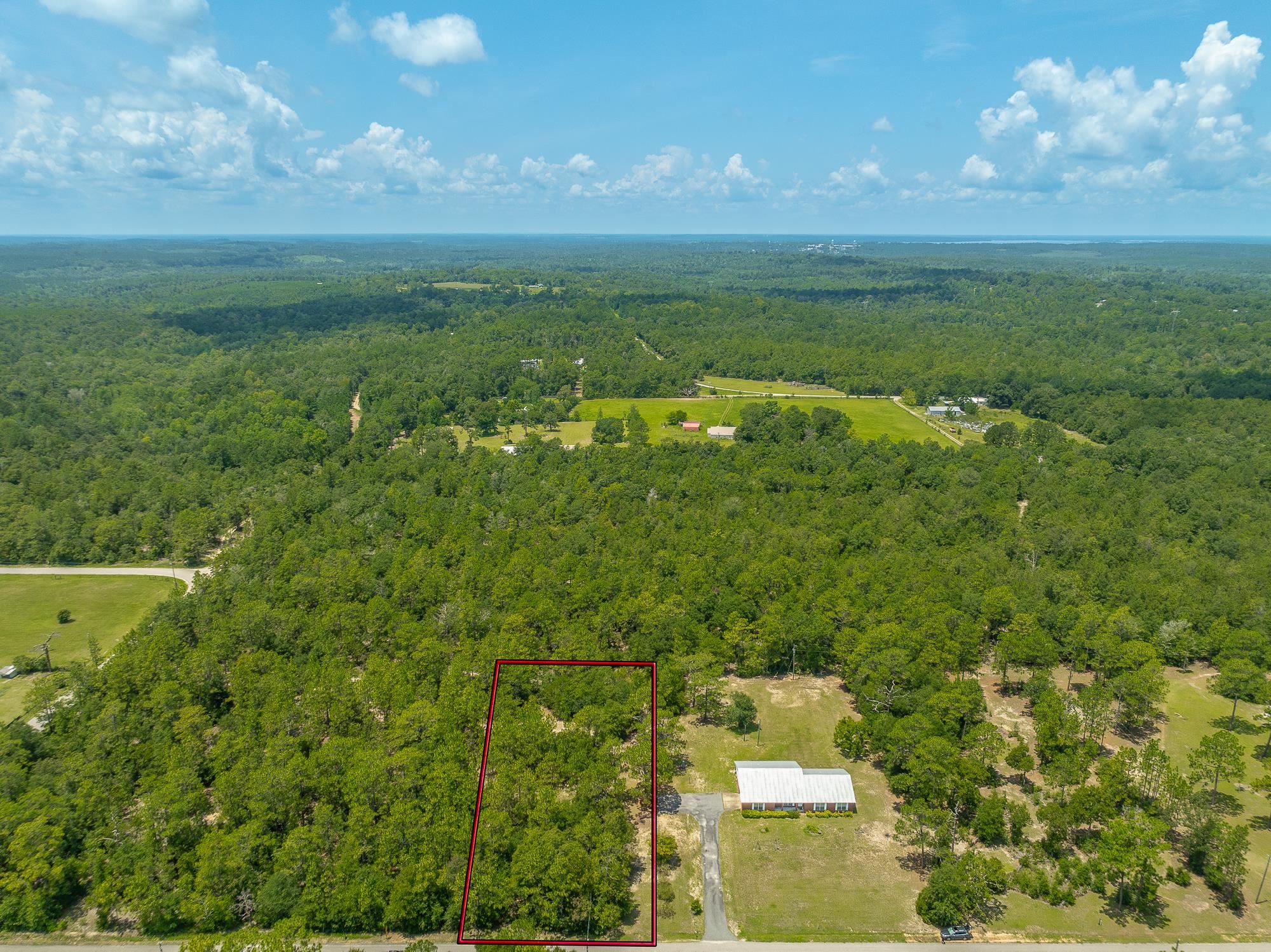 252 Rice Road Chattahoochee, FL 32324 - Photo 11 of 20 Gallery Image 11