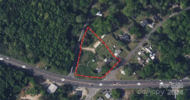 a view of a park with large trees