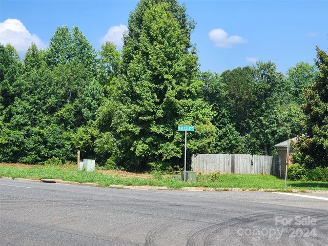 a view of a house with a yard and large trees