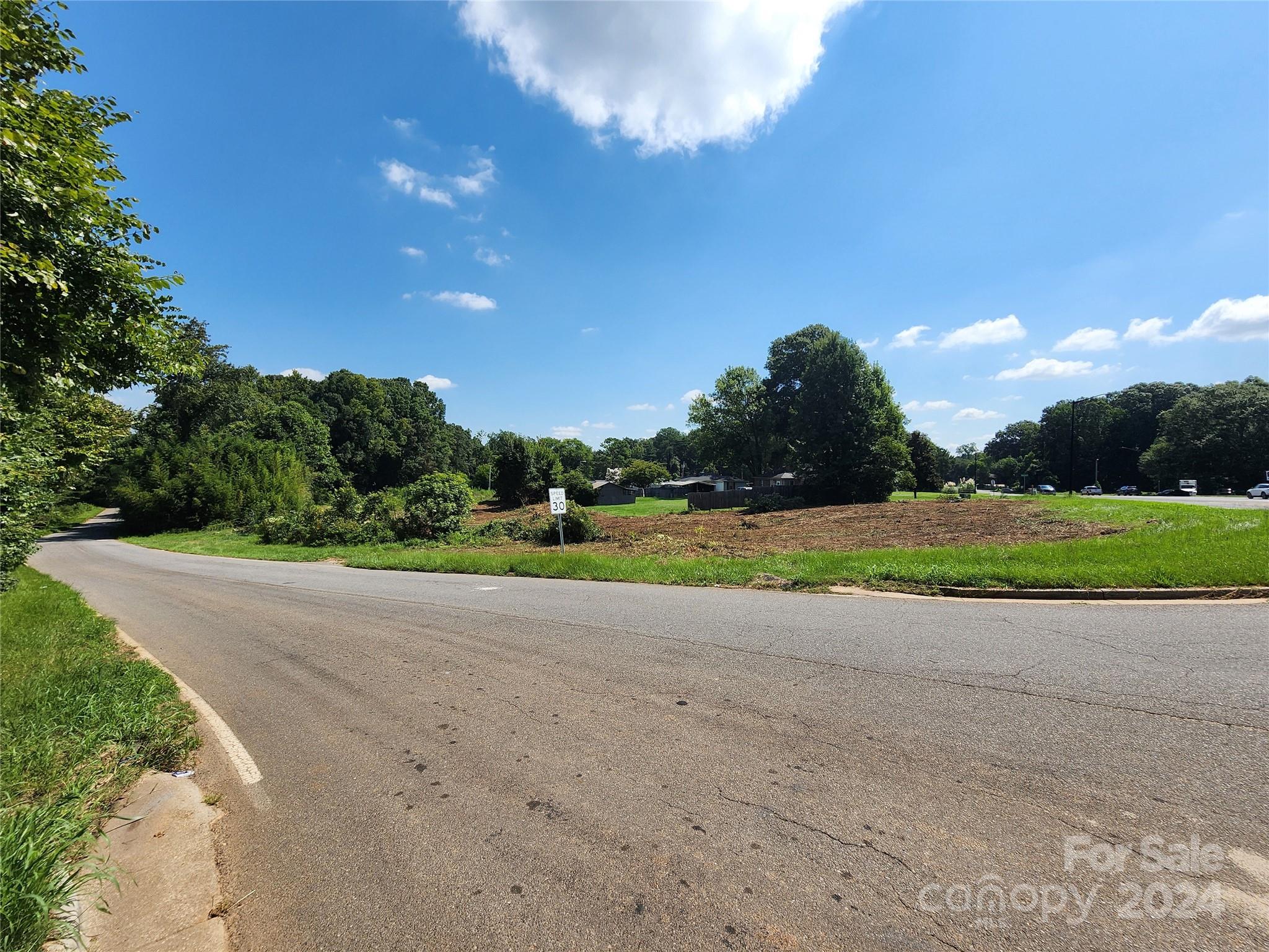 3708 Celanese Road Rock Hill, SC 29732 - Photo 29 of 45 a view of a road with a big yard
