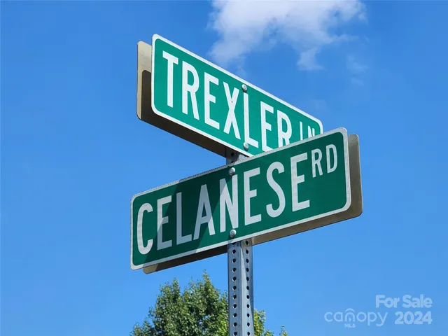a view of road and trees