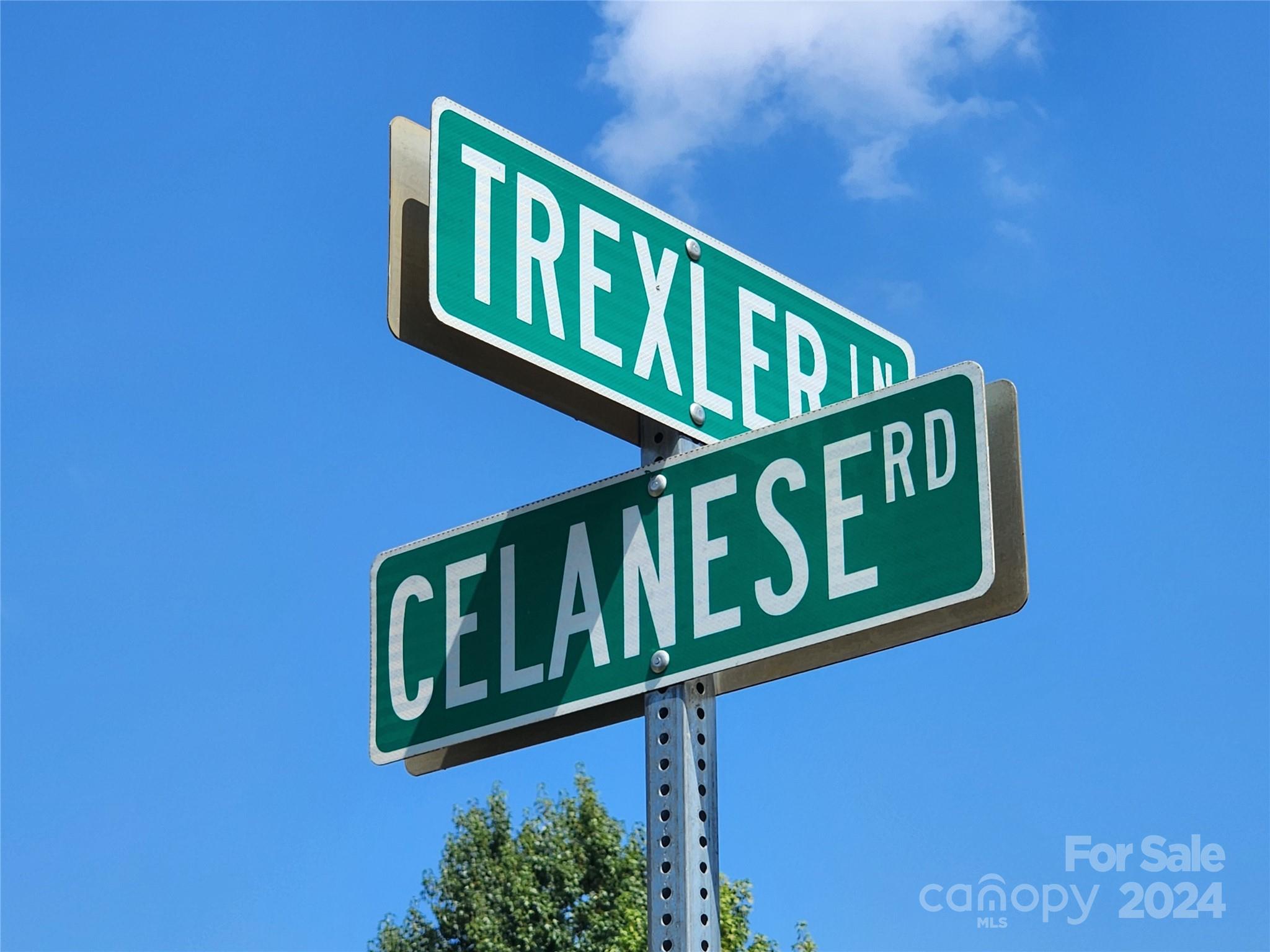 3708 Celanese Road Rock Hill, SC 29732 - Photo 9 of 45 a street sign that is on a pole