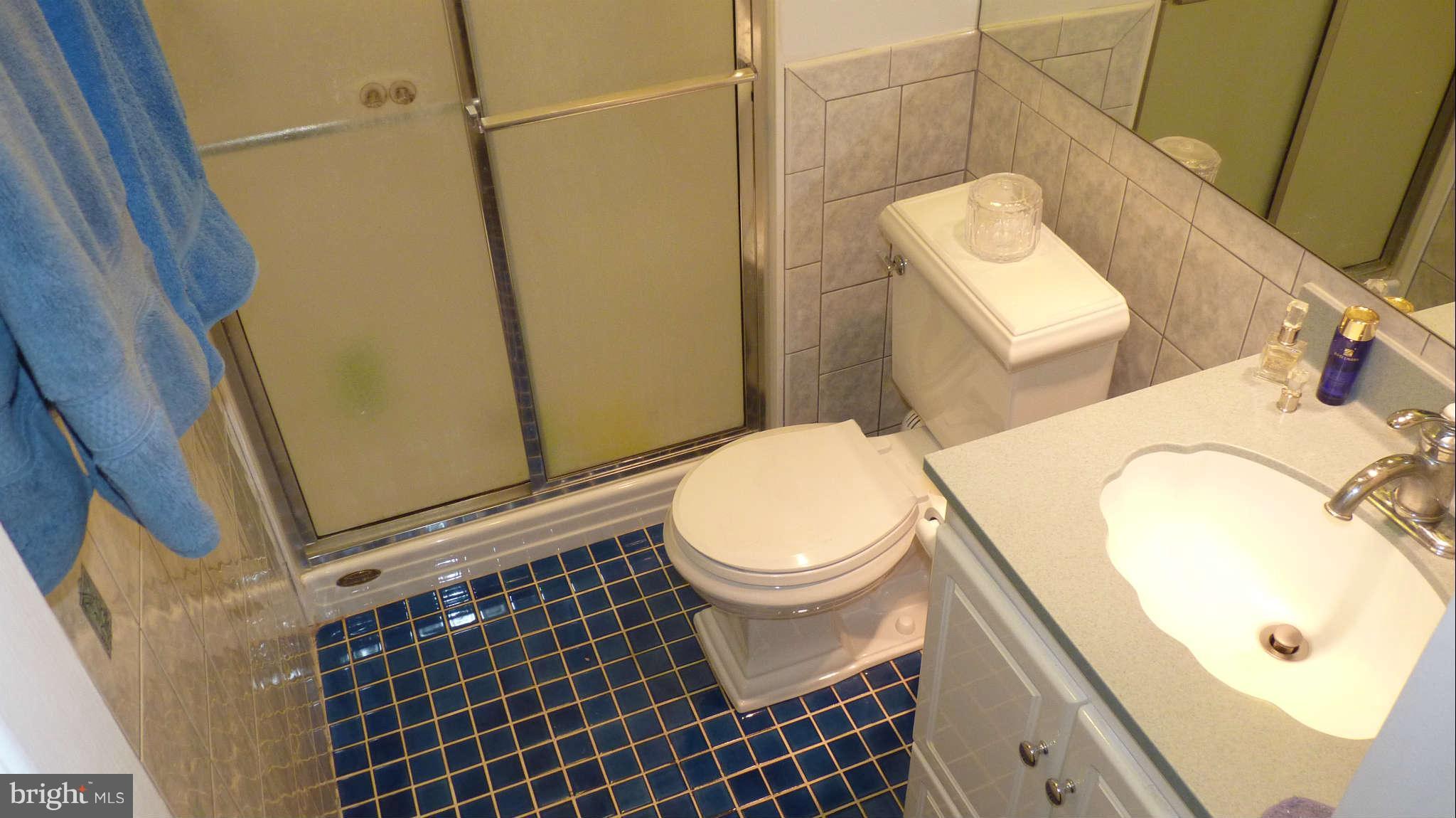 8132 Inverness Ridge Road Potomac, MD 20854 - Photo 14 of 26 Bath (Master)