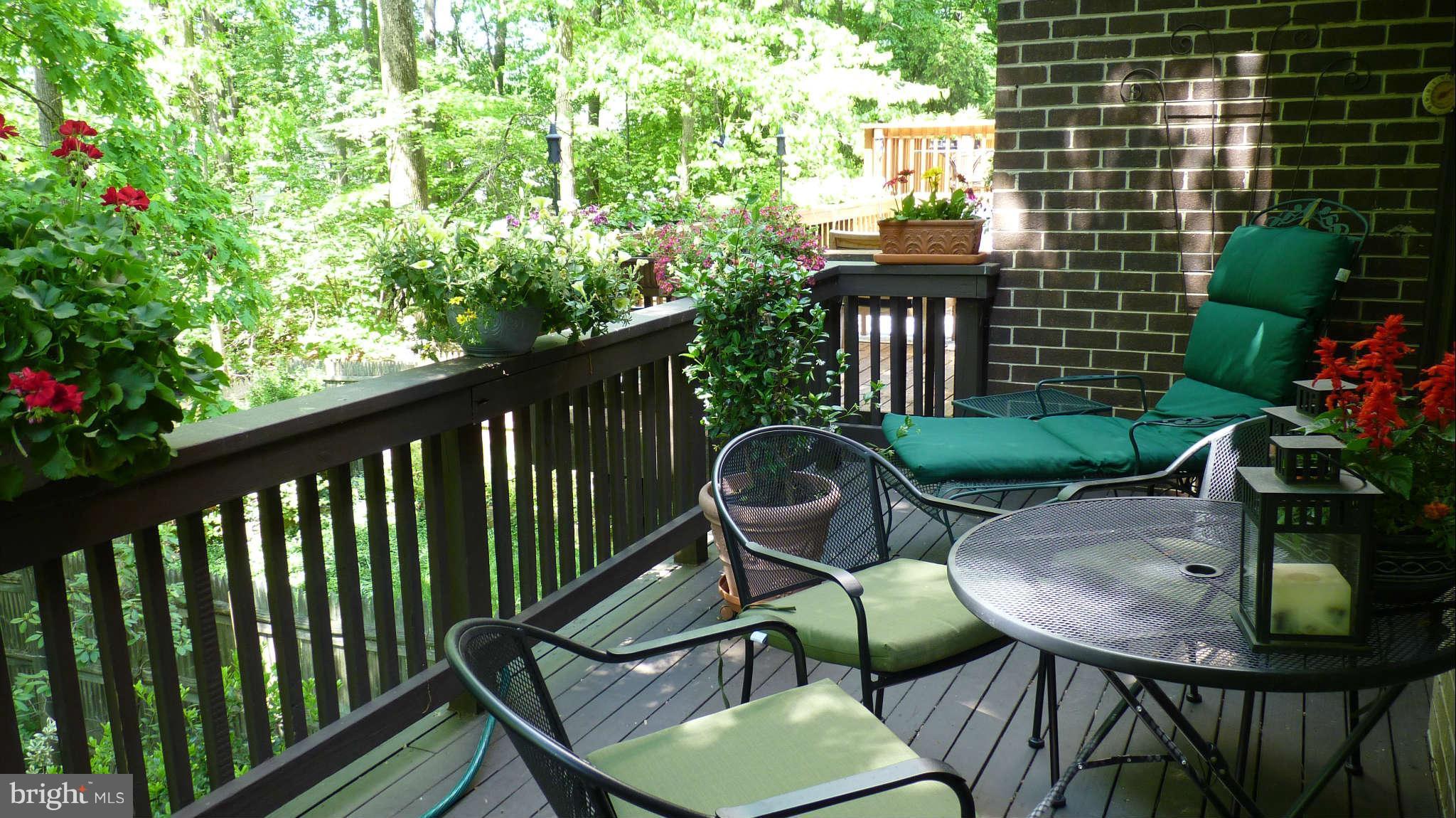 8132 Inverness Ridge Road Potomac, MD 20854 - Photo 7 of 26 Deck