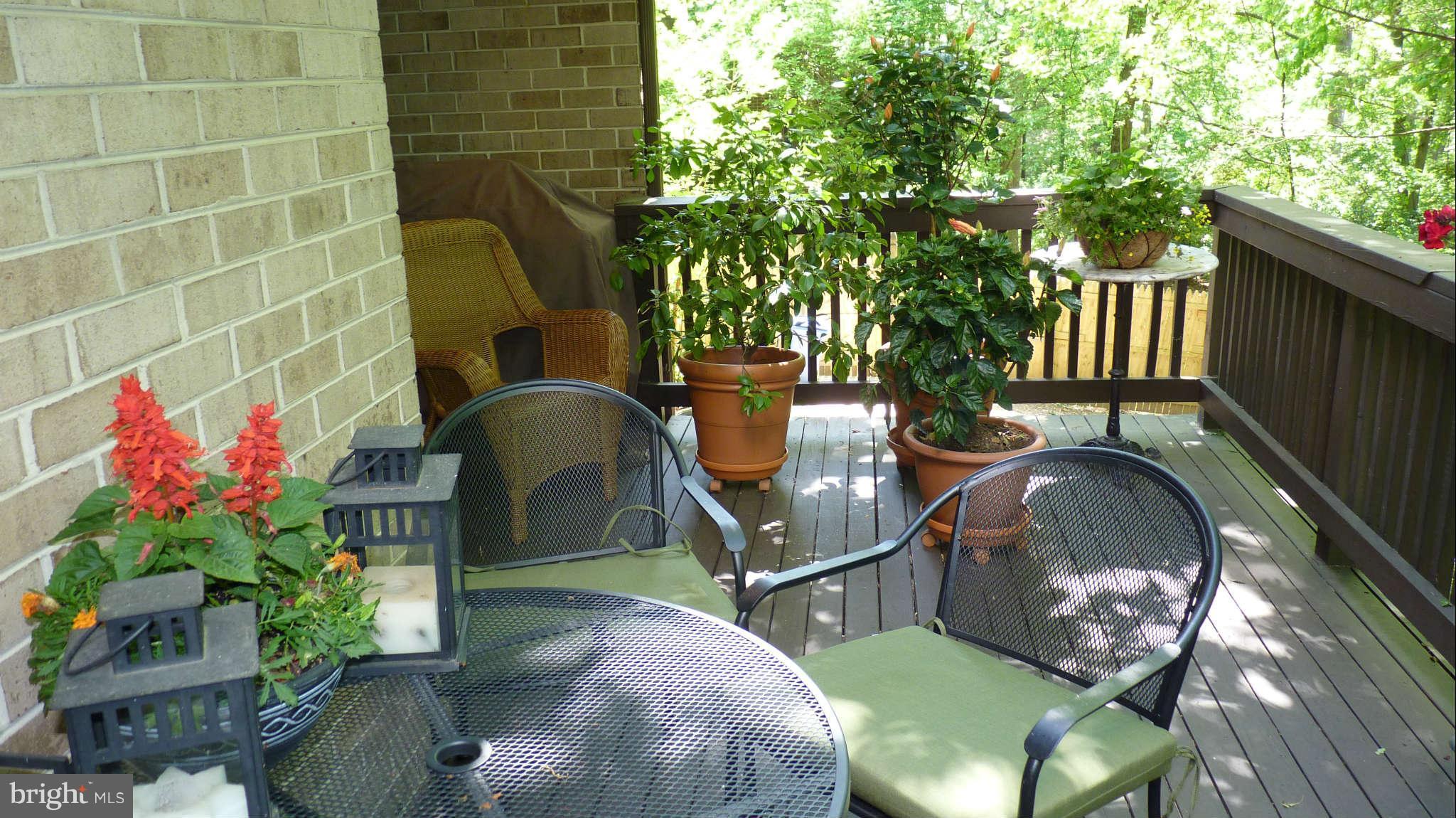 8132 Inverness Ridge Road Potomac, MD 20854 - Photo 8 of 26 Deck