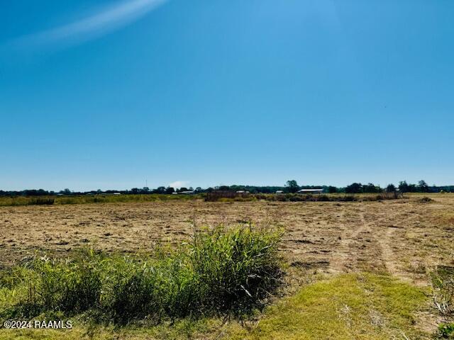 Dry Bayou Road Washington, LA 70589 - Photo 5 of 6 IMG_5801
