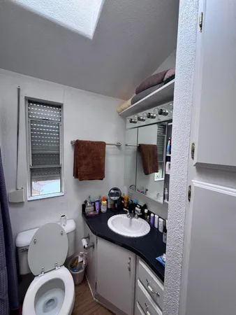 a bathroom with a sink toilet and mirror