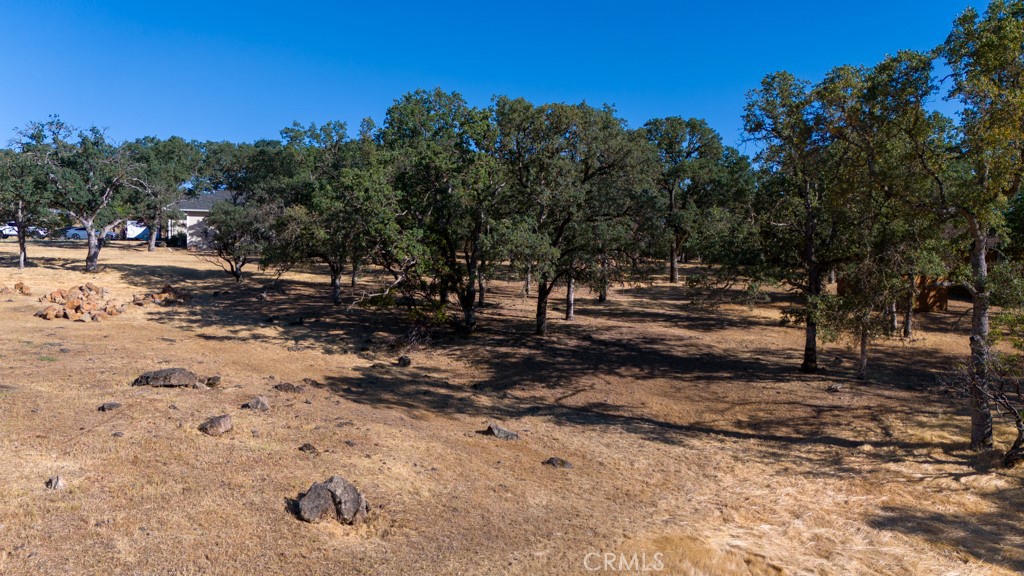 19697 Donkey Hill Road Hidden Valley Lake, CA 95467 - Photo 1 of 15 a view of a backyard of a house