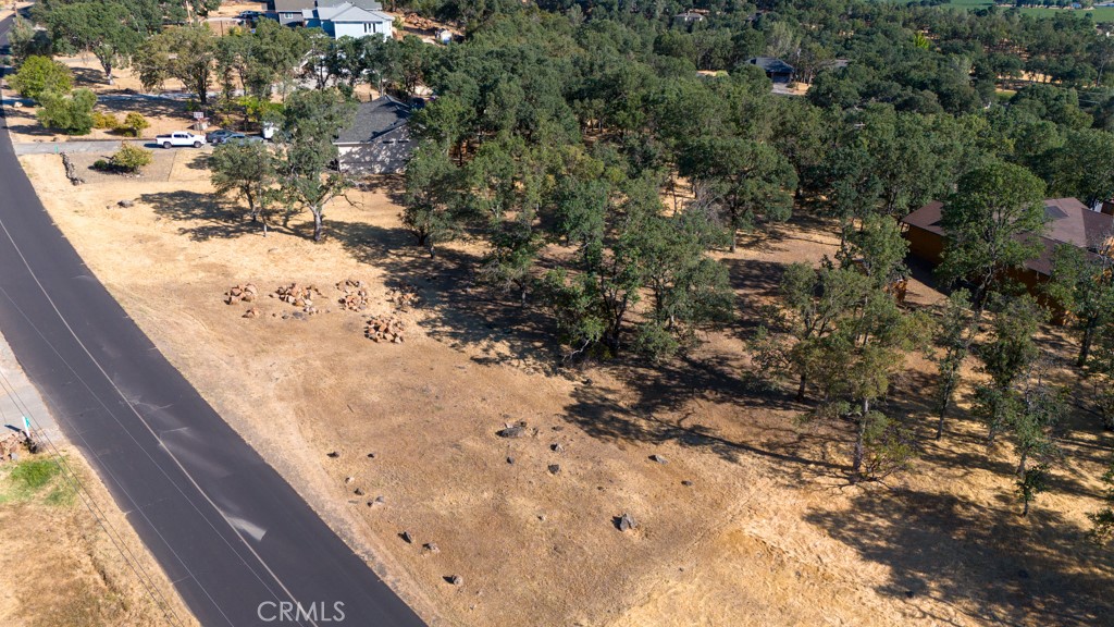 19697 Donkey Hill Road Hidden Valley Lake, CA 95467 - Photo 13 of 15 a view of a lot of trees in a yard
