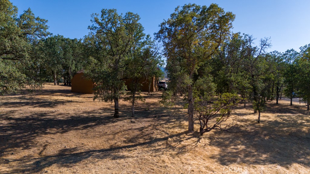 19697 Donkey Hill Road Hidden Valley Lake, CA 95467 - Photo 3 of 15 a view of road and trees