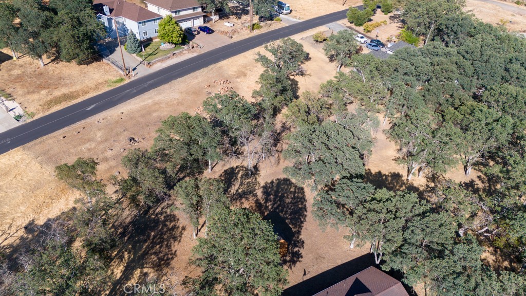 19697 Donkey Hill Road Hidden Valley Lake, CA 95467 - Photo 10 of 15 a view of a yard with plants