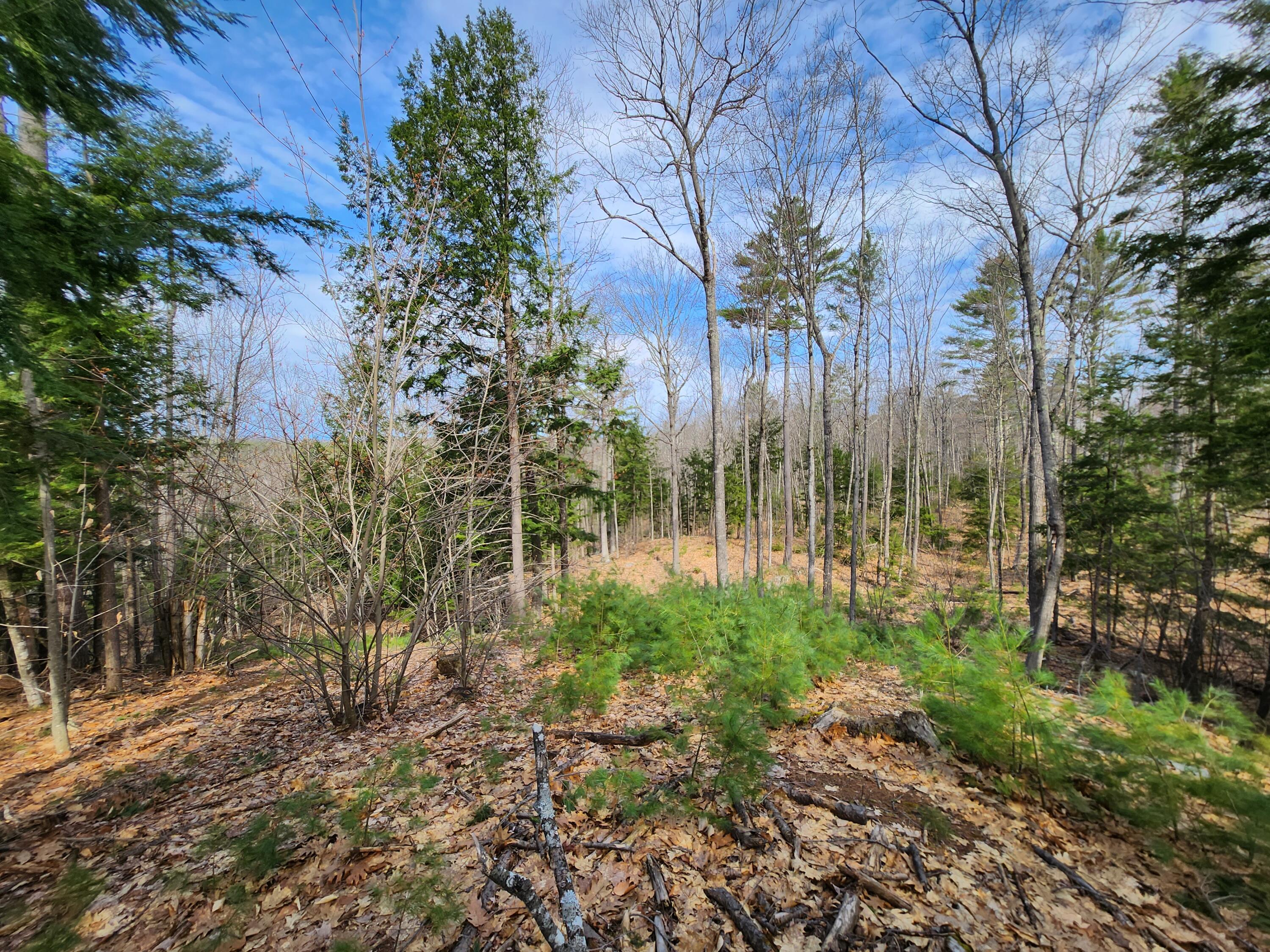 0 Poland Corner Road Poland, ME 04274 - Photo 27 of 28 20230421_100055