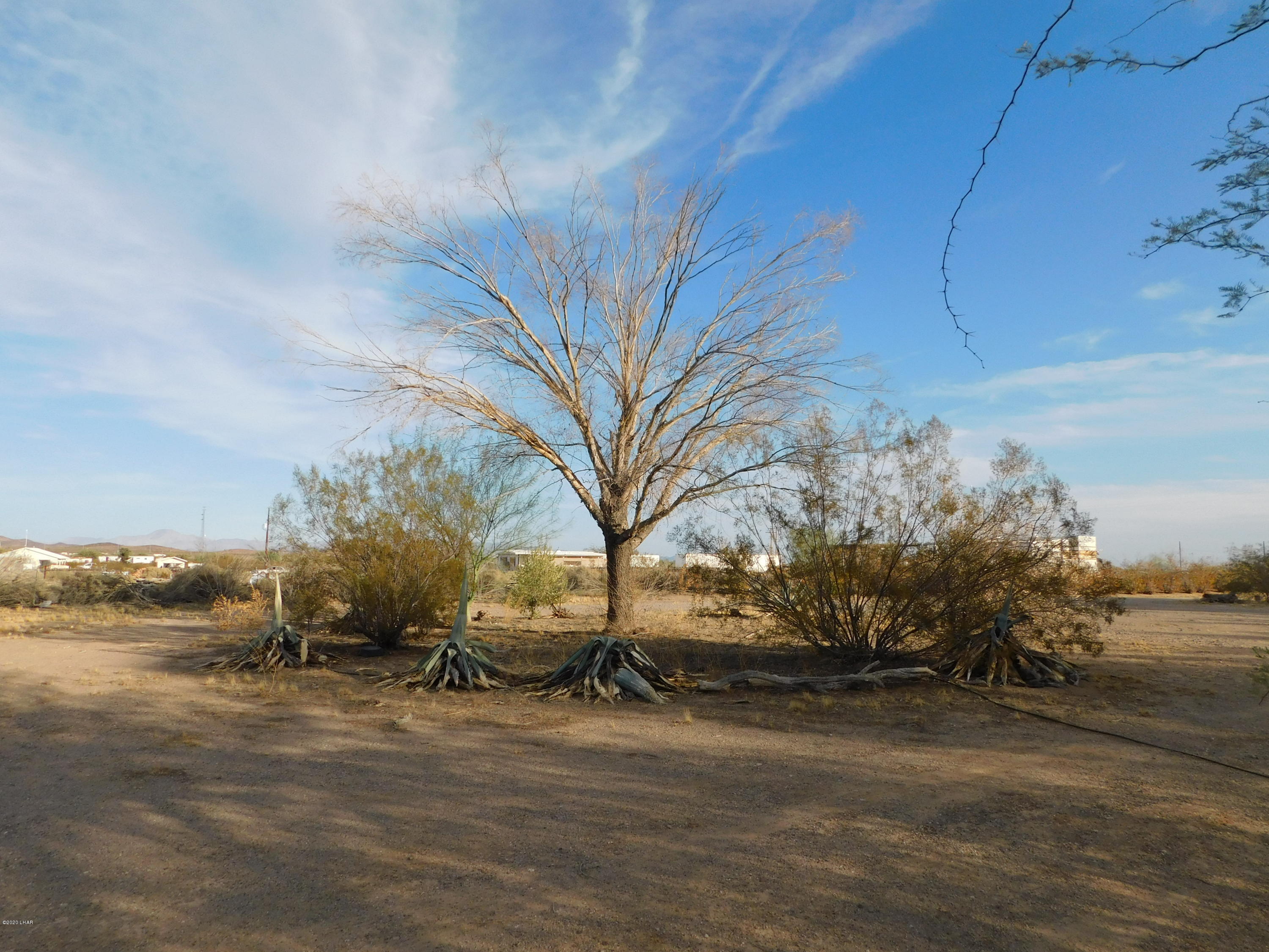 44159 Vaserhely Road Bouse, AZ 85325 - Photo 23 of 26 DSCN0103