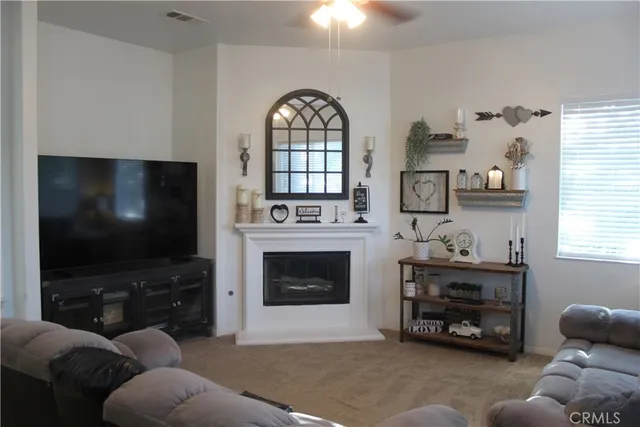 a living room with furniture a flat screen tv and a fireplace