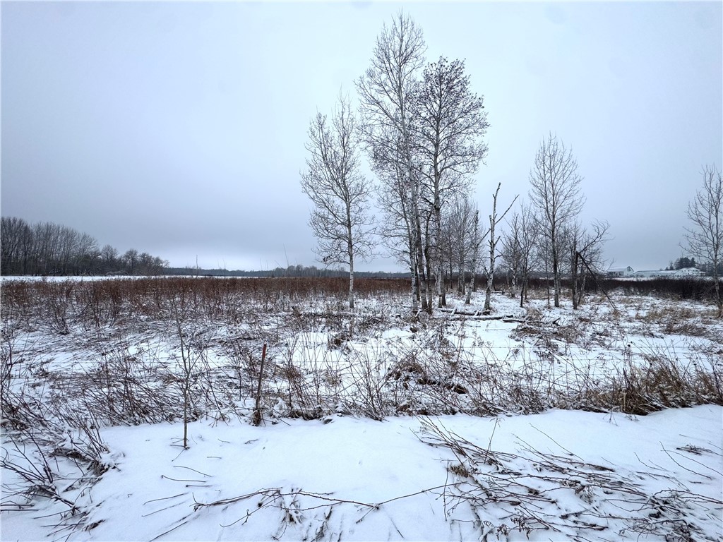 0 326th Street Boyd, WI 54726 - Photo 14 of 14