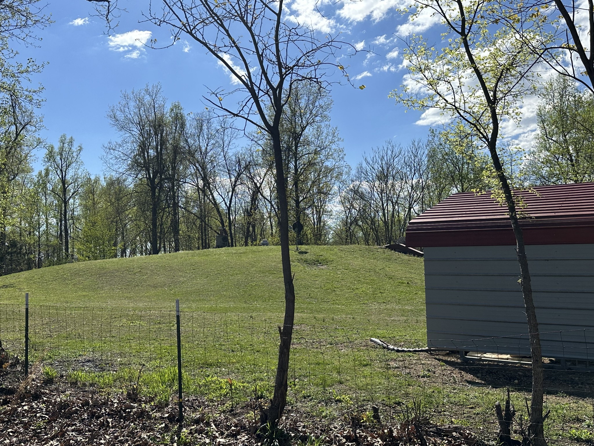 4829 Cole Ridge Road Beechgrove, TN 37018 - Photo 16 of 50 a view of a backyard