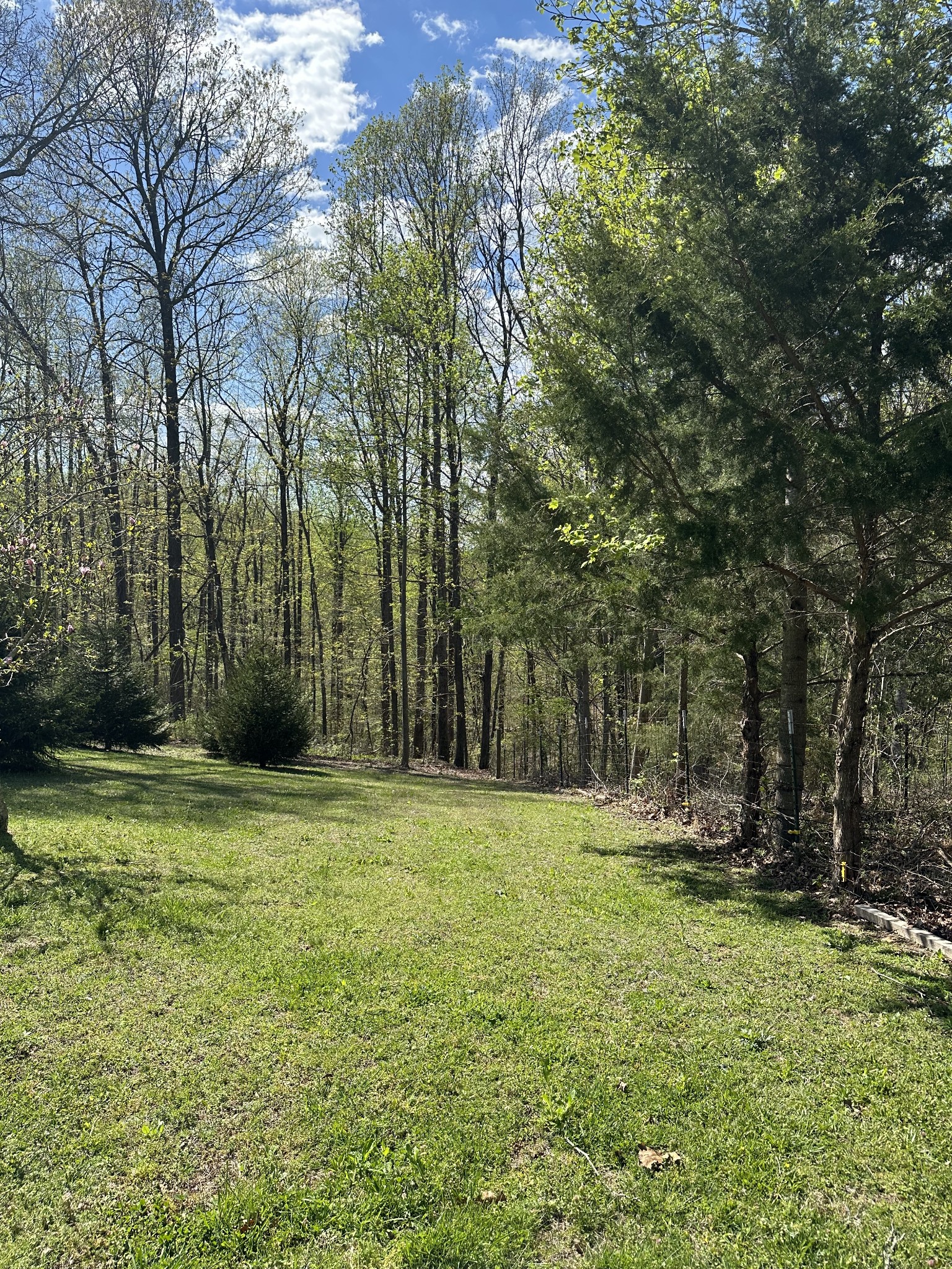 4829 Cole Ridge Road Beechgrove, TN 37018 - Photo 27 of 50 a view of outdoor space with trees all around