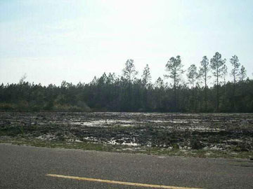 0 Jarrott Daniels Road, Unit SEEADD Wewahitchka, FL 32465 - Photo 1 of 1