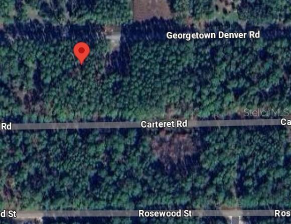 243 Georgetown Denver Road Georgetown, FL 32139 - Photo 4 of 10 a view of a fence