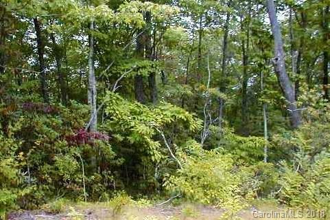 Lot #9 Walker Ridge Road Spruce Pine, NC 28777 - Photo 2 of 11 Gallery Image 2