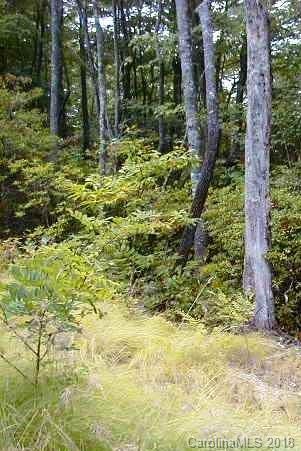 Lot #9 Walker Ridge Road Spruce Pine, NC 28777 - Photo 3 of 11 Gallery Image 3