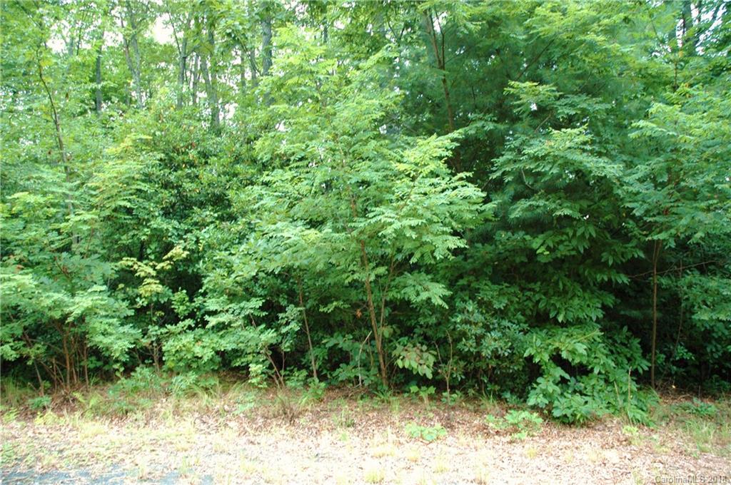 Lot #9 Walker Ridge Road Spruce Pine, NC 28777 - Photo 4 of 11 Gallery Image 4