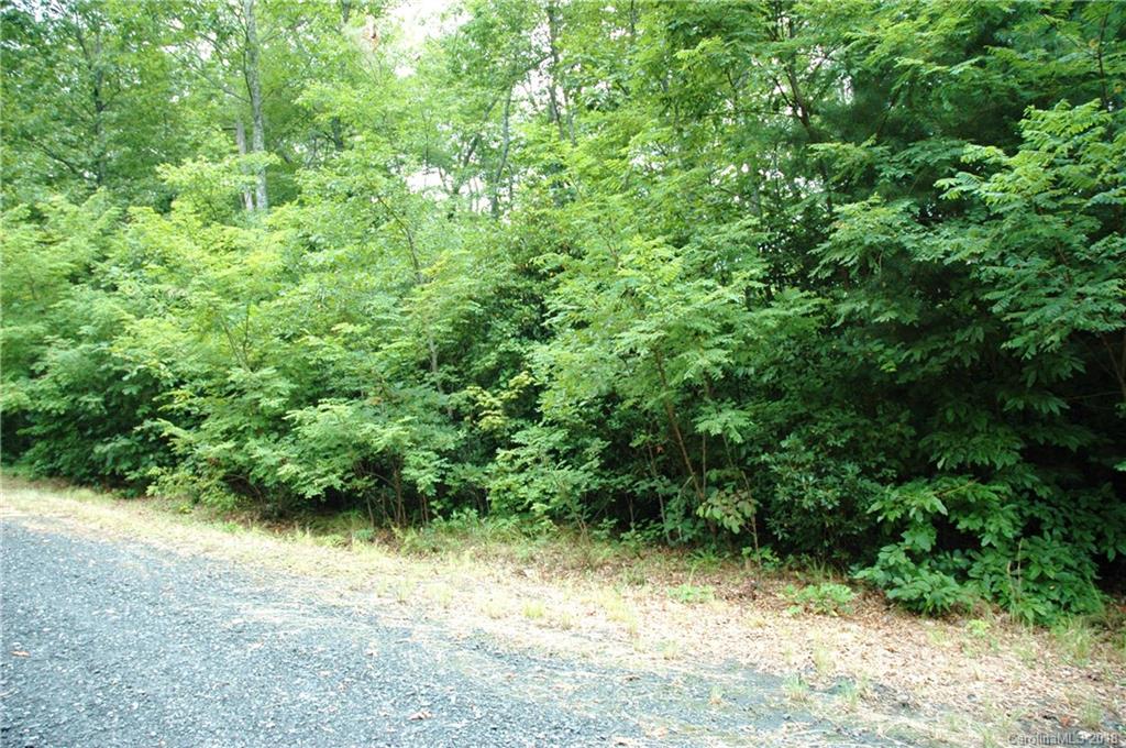 Lot #9 Walker Ridge Road Spruce Pine, NC 28777 - Photo 5 of 11 Gallery Image 5