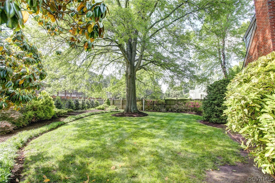3801 Tomacee Road Richmond, VA 23221 - Photo 39 of 46 Gallery Image 39