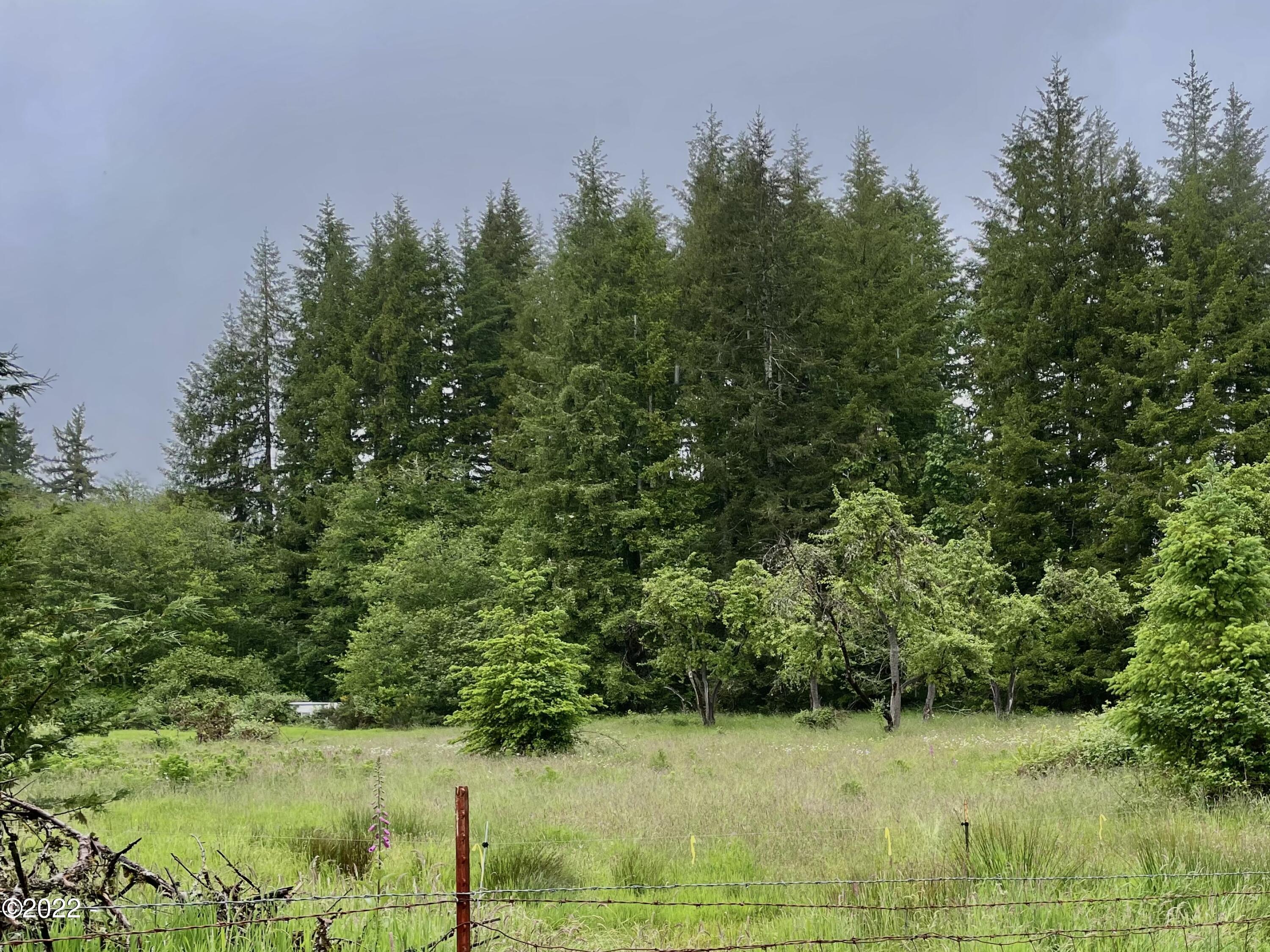 410 Mill Creek Road Toledo, OR 97391 - Photo 7 of 10 Level Area - View 1