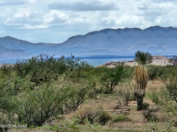 $77,000 | 40-acres South Desert Willow Road, Unit 49, Pearce, AZ 85625