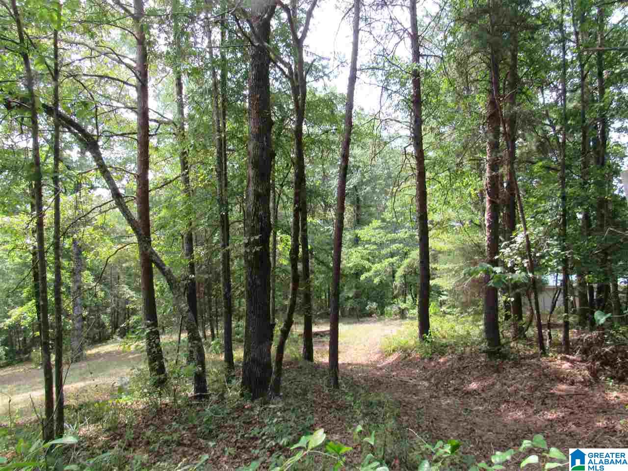 175 County Road 772 Montevallo, AL 35115 - Photo 32 of 50