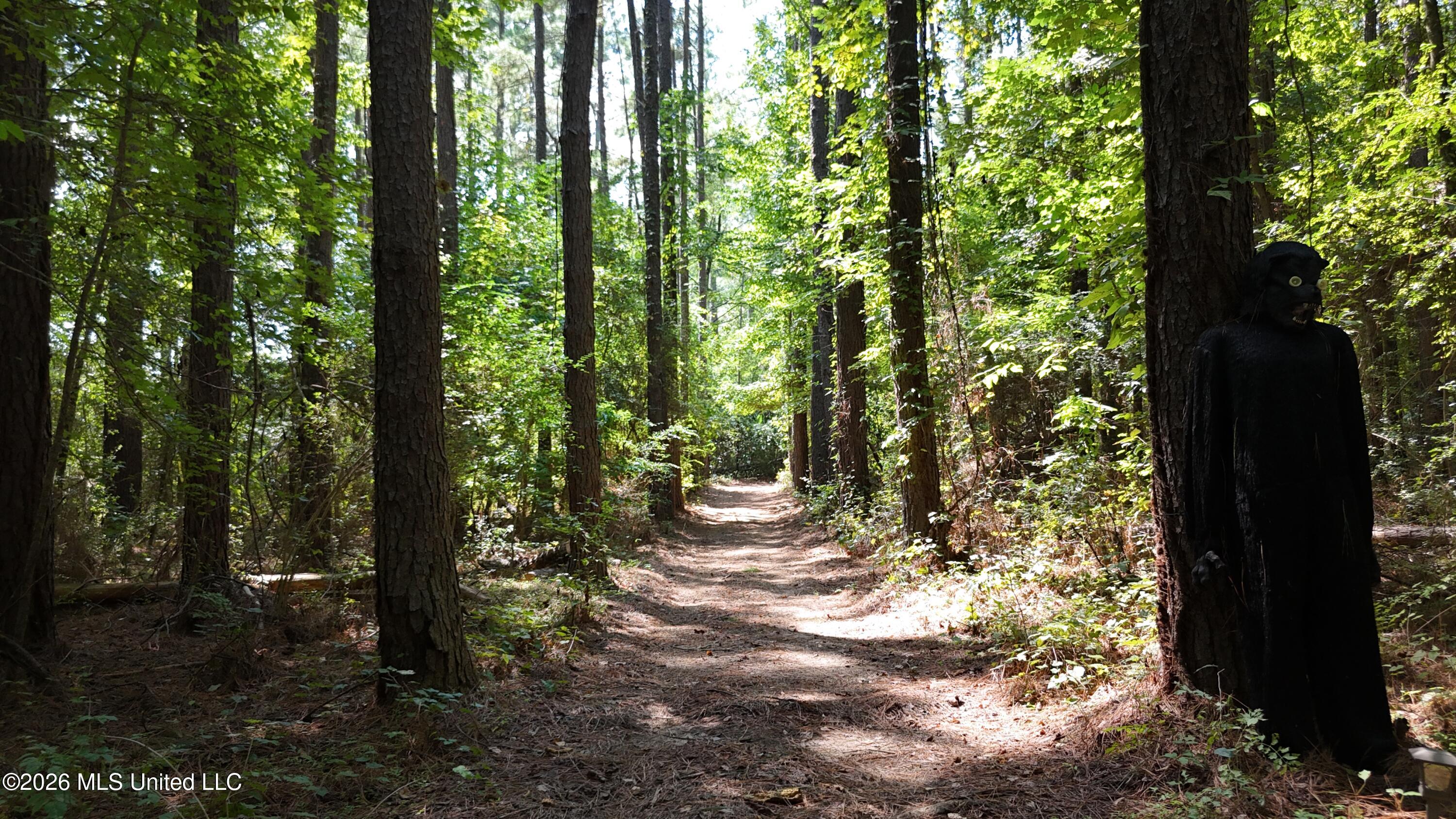 7 Jordan Road Natchez, MS 39120 - Photo 49 of 65 DJI_20260908141532_0048_D