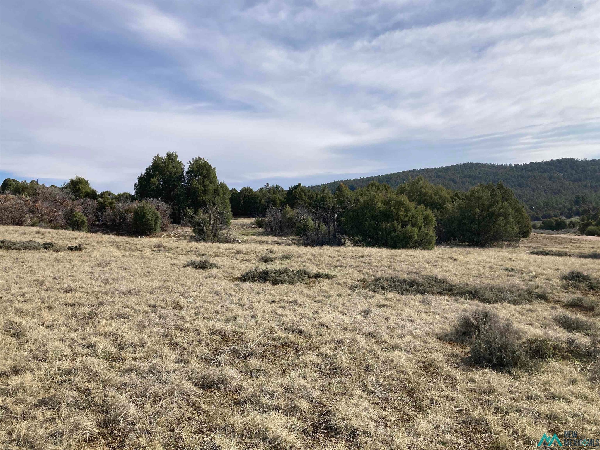 1 Cr 341 Road Chama, NM 87520 - Photo 5 of 17 Gallery Image 5