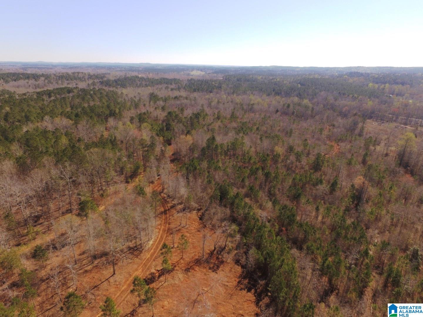 3045 Corinth Road, Unit 56 ACRES Cragford, AL 36255 - Photo 21 of 29