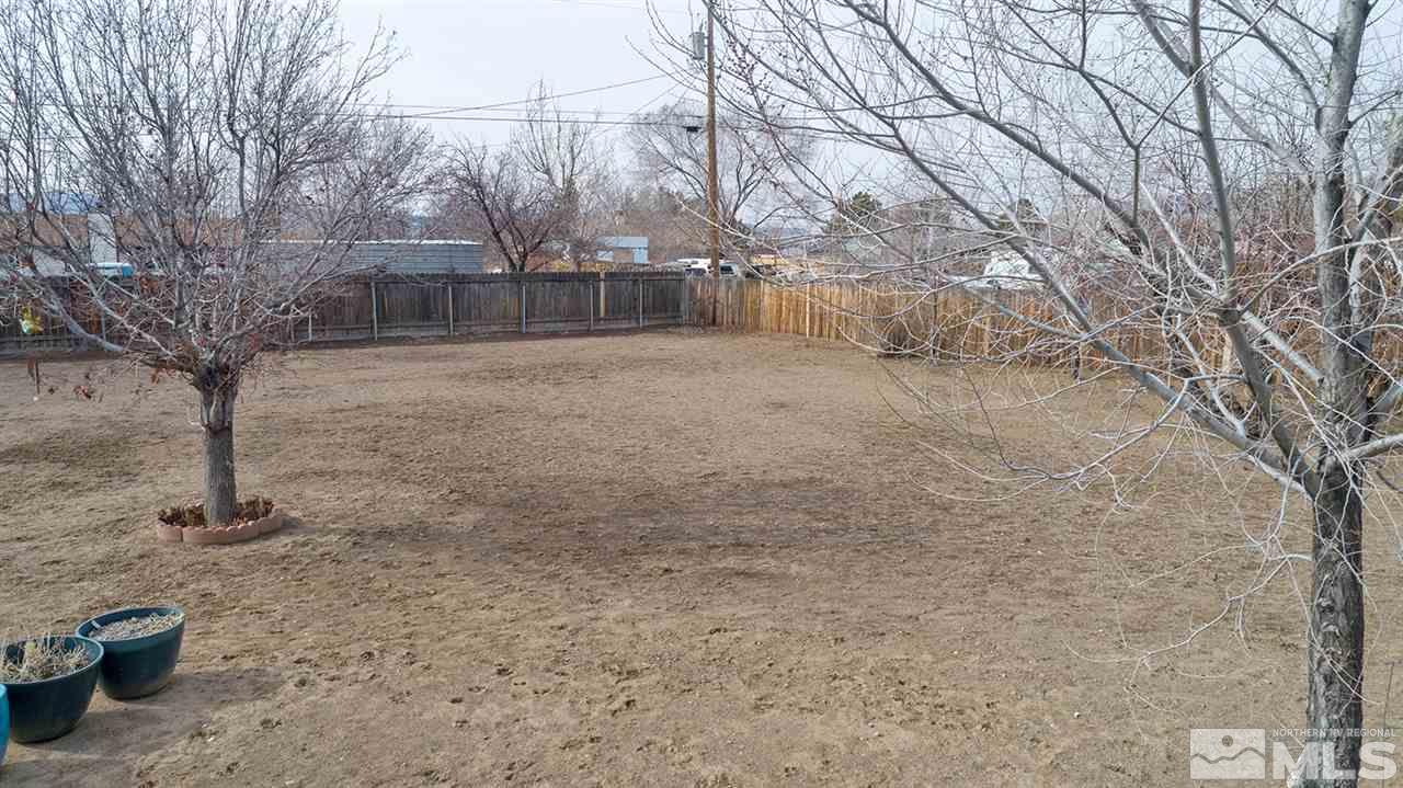 304 River Boat Road Dayton, NV 89403 - Photo 18 of 20 a view of backyard with trees