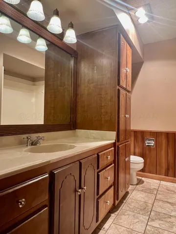 a bathroom with a sink a toilet and a mirror