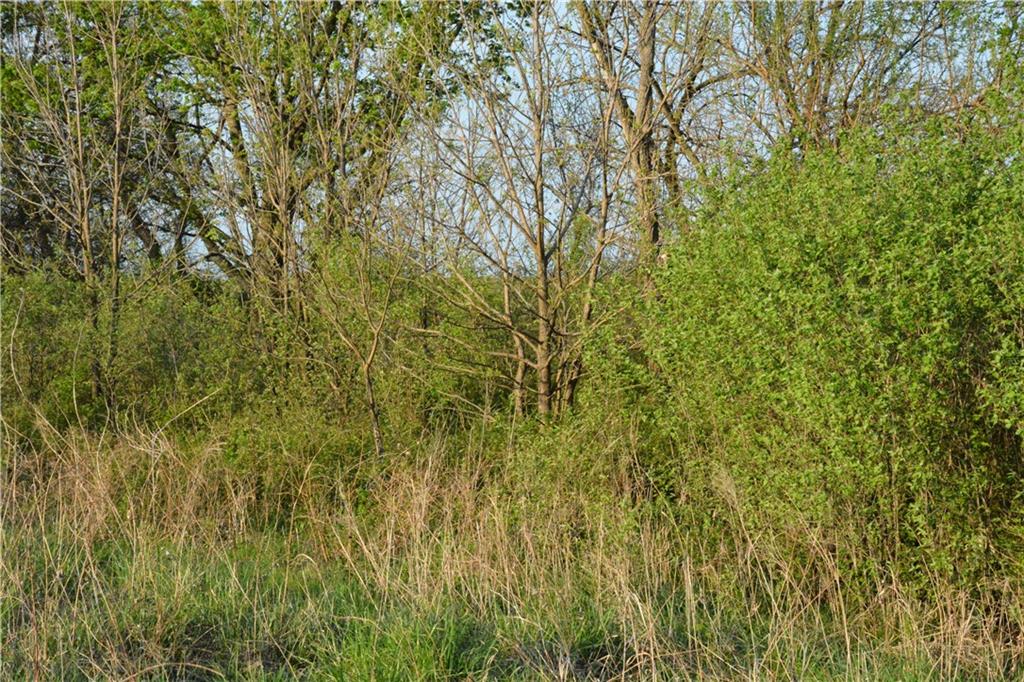 919 Juneberry Road Burlington, KS 66839 - Photo 13 of 25