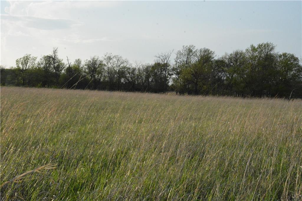 919 Juneberry Road Burlington, KS 66839 - Photo 18 of 25