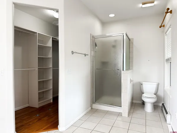 a bathroom with a shower and a toilet