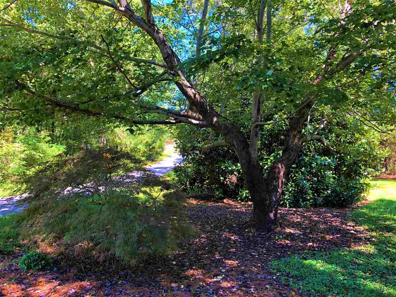 471 Chapel Road Greer, SC 29651 - Photo 11 of 18