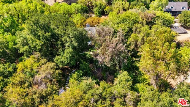 a view of a lush green forest with a house in a forest